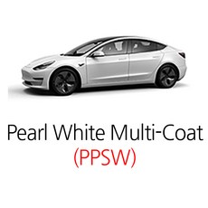 매직팁 테슬라 전차종, (PPSW)Pearl White Multi, 1개 - 테슬라페인트