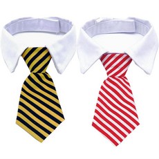 촬영소품나비넥타이