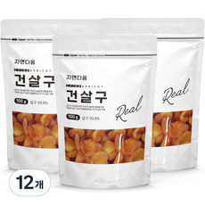 건강한 자연다움 건살구 100g 12개
