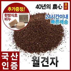 달맞이랑