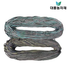 대나무발끈