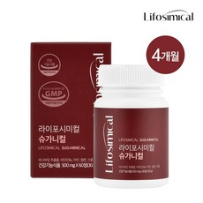 가니페이크카라