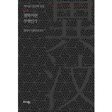 철학이란 무엇인가:철학적 사유의 발자국, 미다스북스