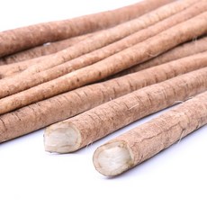 모자농원우엉판매