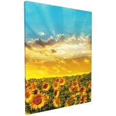 주방아트월해바라기