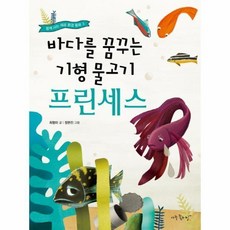 물고기비치볼어피치
