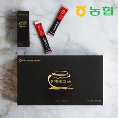 칠보농협 옹동제약 지황옥고 스틱 선물세트, 300ml, 1세트