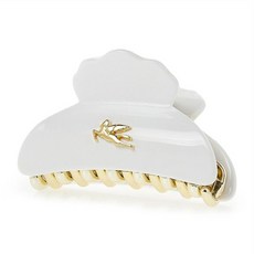 에트로헤어클립