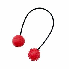 이고진토끼볼ea