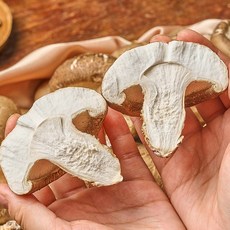 농가살리기 무농약 국내산 친환경 송화버섯, 1박스, 일반형 1kg
