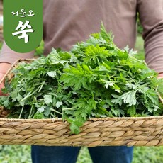 추천3봄제철음식