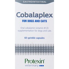 개와고양이인형극