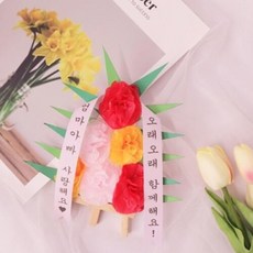 아트박스/72페이지 카네이션 미니화환 만들기 패키지 DIY 5인