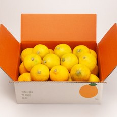오렌지-추천-상품