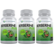 Berberine Plus 베르베린 플러스 1200mg 120 베지캡슐 (1병 2병 3병)