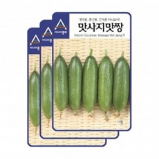 아시아종묘 채소씨앗 - 오이씨앗 맛사지맛짱(10립x3), 3개