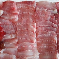 흑산도홍어한마리