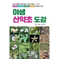 버섯도감