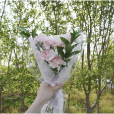 플라워팜팜 생화 카네이션 꽃다발 어버이날선물, 핑크 꽃다발