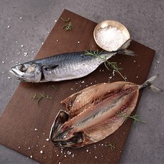 건강한바다씨