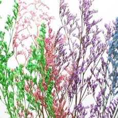 67d45604c6cd0f853d421cd8b66b2cd0aa4d04e3aa0d6449e4d413599c35.jpg