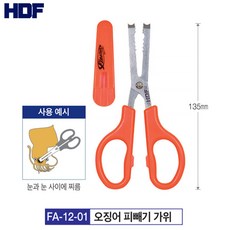 무늬오징어시메가위