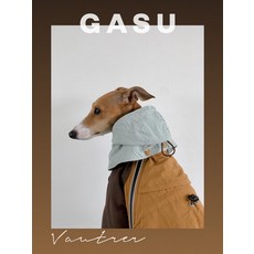 이탈리안그레이하운드우비