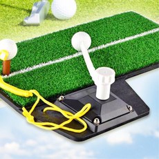 퍼팅용인조잔디