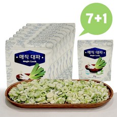 동결건조파