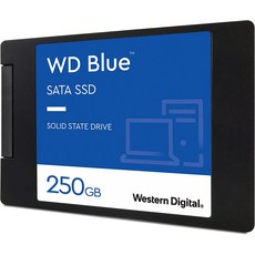 wdssd250