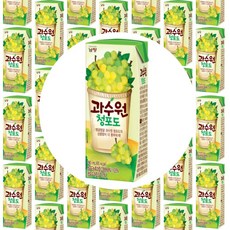 남양주원데이클래스