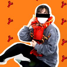 바퀴벌레쿠션