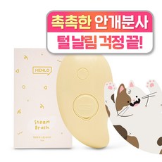 헨로포우 스팀 브러쉬, 1개