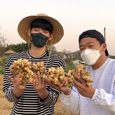 이조깻잎