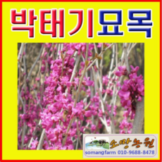 aec2c15be47f23ff752bcce0e9715be3f919382e4a5f1470ae3c334f7f3f.jpg