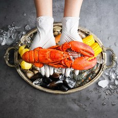 보일링크랩소스