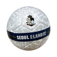 fc서울