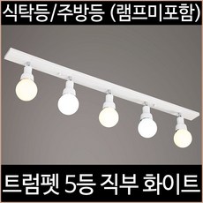 [소노조명]트럼펫 5등 직부 주방등 화이트, 화이트_(LED 12W 볼램프 주광색 5개 램프포함)