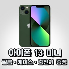 아이폰13미니 TOP01