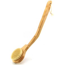 돈모건식바디브러쉬