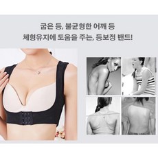 가슴업보정