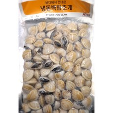 냉동 백합 조개 1kg 해감 조개, 1개