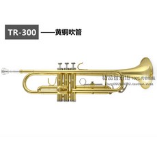 엠비토이즈트럼펫