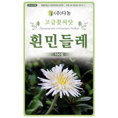 흰민들레씨앗 100립 약용 식용 민들레꽃씨 야생화종자 민들레씨, 1개