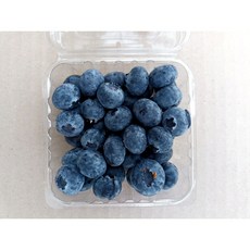 고당도 생블루베리 프리미엄 항공입고 블루베리 생과 팩포장, 블루베리14-16mm (125g x 8팩), 1박스, 1kg