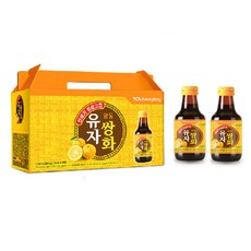 광동 유자 쌍화 150ml x 40병 약국 한방 탕 음료, 40개, 149ml