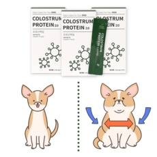 닥터바이 강아지 초유단백질 단백질 근력개선 면역력 산양유 펫밀크 노령견 영양제 30p, 1개, 면역력 강화