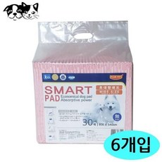 토리백일상