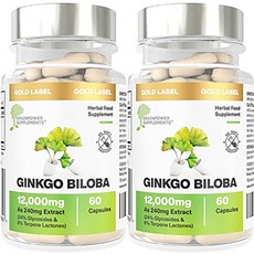 브레인파워빌더스