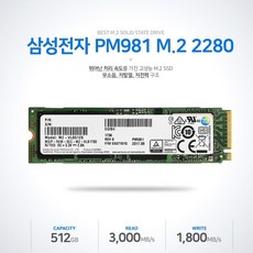 pm981am.2nvme